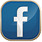Dome Guys Facebook Logo and Social Network Access