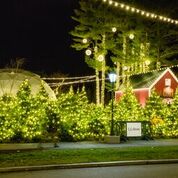 Newbridge Marketing Company – LL Bean