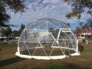 web_20-clear-vinyl-dome-1